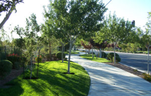 southern-highlands-parks-06 Parks and Trails Southern Highlands private golf community of Las Vegas Nevada