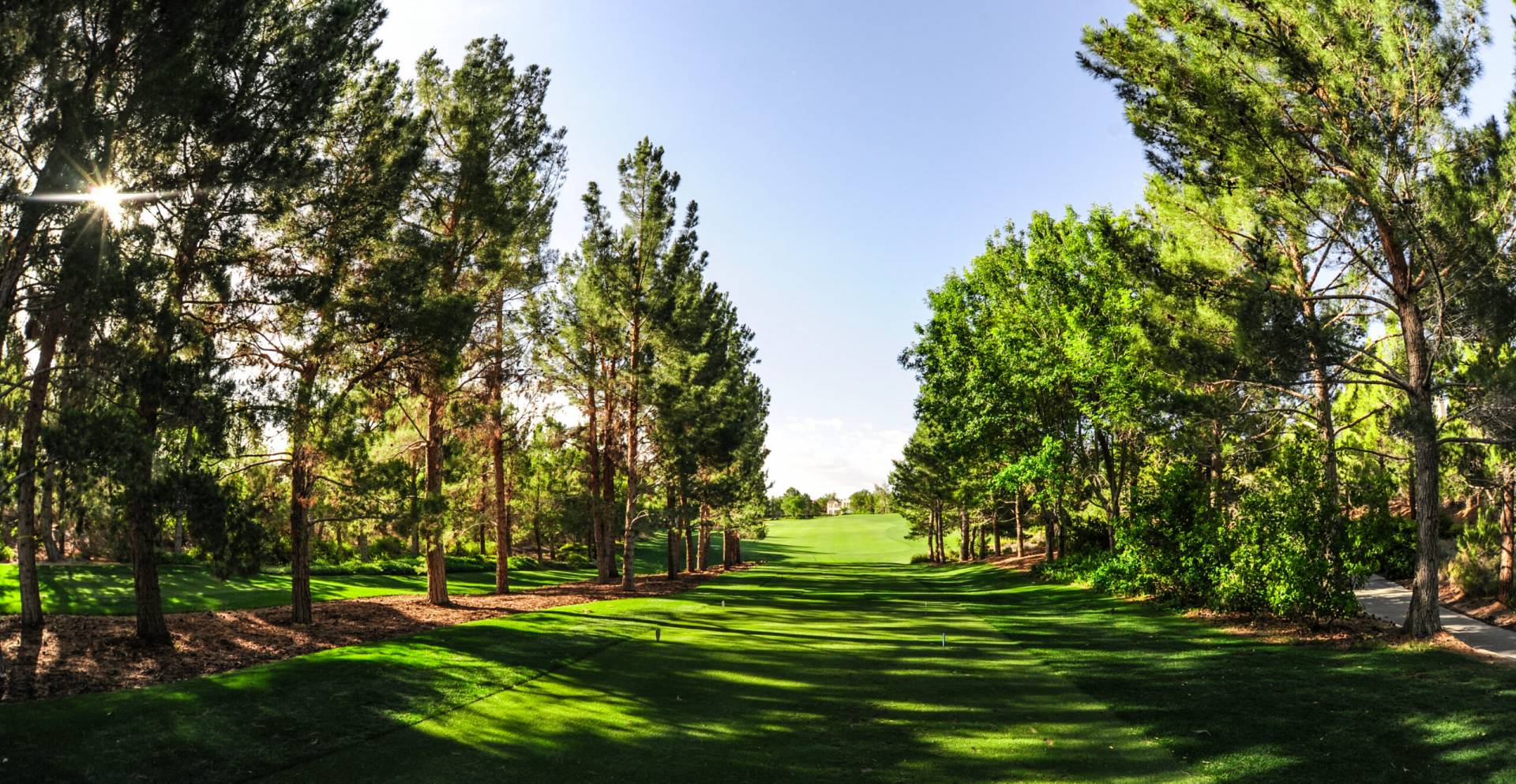 JRM 5118a 1 Edit 1 scaled