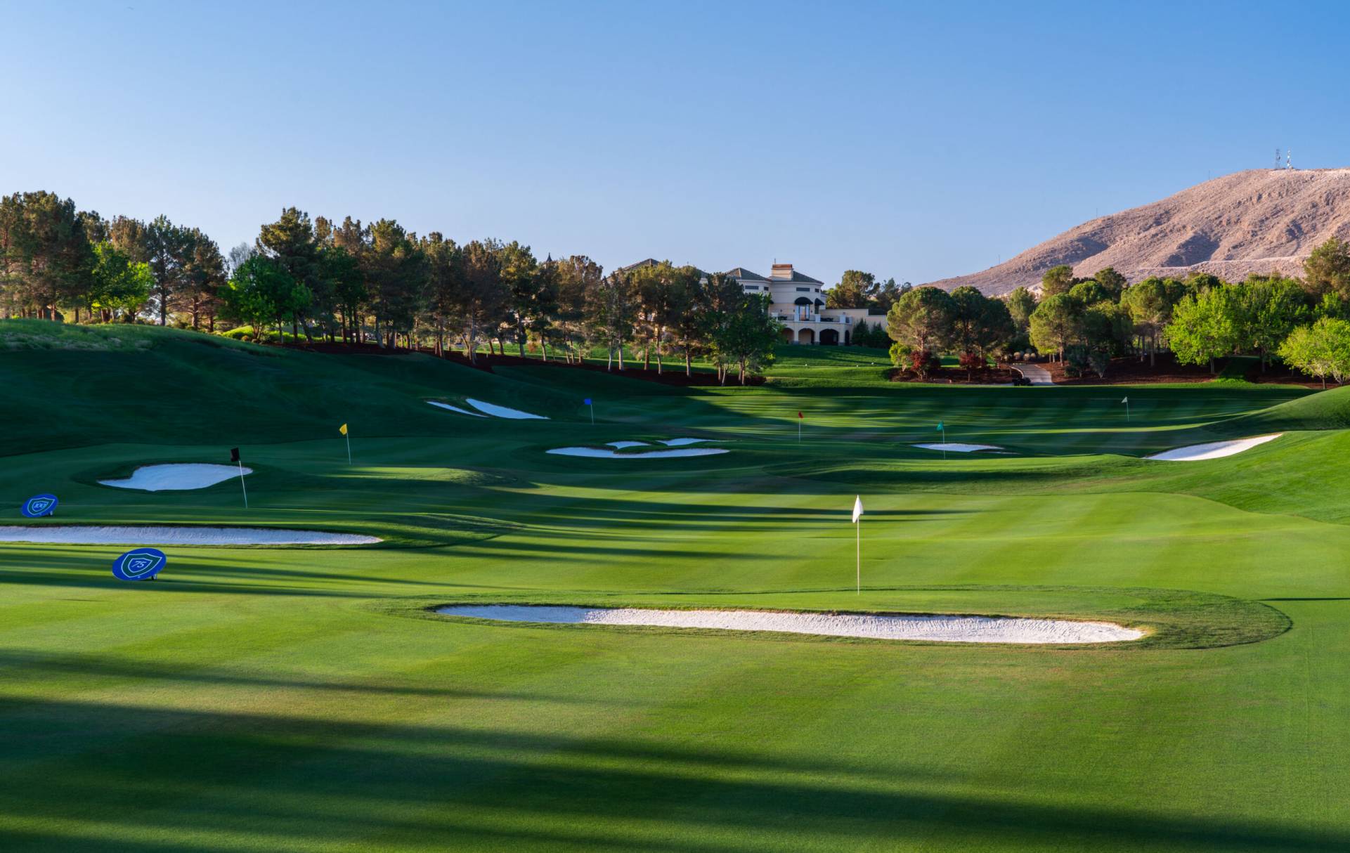 OAR0001 Enhanced NR Edit scaled